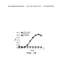 ANTIBACTERIAL ANTISENSE OLIGONUCLEOTIDE AND METHOD diagram and image