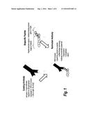 HIGH AFFINITY ADAPTOR MOLECULES FOR REDIRECTING ANTIBODY SPECIFITY diagram and image