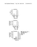 NOVEL RECEPTOR TREM (TRIGGERING RECEPTOR EXPRESSED ON MYELOID CELLS) AND     USES THEREOF diagram and image