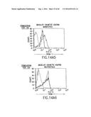 NOVEL RECEPTOR TREM (TRIGGERING RECEPTOR EXPRESSED ON MYELOID CELLS) AND     USES THEREOF diagram and image