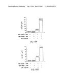 NOVEL RECEPTOR TREM (TRIGGERING RECEPTOR EXPRESSED ON MYELOID CELLS) AND     USES THEREOF diagram and image