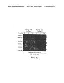 NOVEL RECEPTOR TREM (TRIGGERING RECEPTOR EXPRESSED ON MYELOID CELLS) AND     USES THEREOF diagram and image