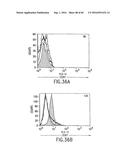 NOVEL RECEPTOR TREM (TRIGGERING RECEPTOR EXPRESSED ON MYELOID CELLS) AND     USES THEREOF diagram and image