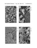 CARBON NANOSTRUCTURE PREBLENDS AND THEIR APPLICATIONS diagram and image