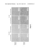 CELL CULTURE MEDIUM AND BIOPROCESS OPTIMIZATION diagram and image