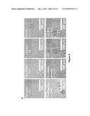 CELL CULTURE MEDIUM AND BIOPROCESS OPTIMIZATION diagram and image