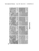 CELL CULTURE MEDIUM AND BIOPROCESS OPTIMIZATION diagram and image