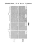 CELL CULTURE MEDIUM AND BIOPROCESS OPTIMIZATION diagram and image