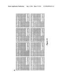 CELL CULTURE MEDIUM AND BIOPROCESS OPTIMIZATION diagram and image