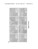 CELL CULTURE MEDIUM AND BIOPROCESS OPTIMIZATION diagram and image