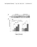 CELL CULTURE MEDIUM AND BIOPROCESS OPTIMIZATION diagram and image