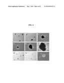 COMPOSITIONS AND METHODS FOR REPROGRAMMING EUKARYOTIC CELLS diagram and image