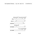 METHODS AND MOLECULES FOR SUPPRESSION OF RNA SILENCING diagram and image