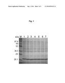 MUTATED GENES FOR THE CATALYTIC PROTEIN OF OPLOPHORUS LUCIFERASE AND USE     THEREOF diagram and image