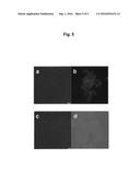 MUTATED GENES FOR THE CATALYTIC PROTEIN OF OPLOPHORUS LUCIFERASE AND USE     THEREOF diagram and image