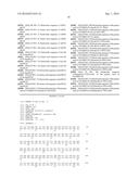 MUTATED GENES FOR THE CATALYTIC PROTEIN OF OPLOPHORUS LUCIFERASE AND USE     THEREOF diagram and image