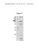 RECOMBINANT PRODUCTION OF STEVIOL GLYCOSIDES diagram and image