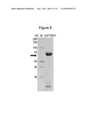 RECOMBINANT PRODUCTION OF STEVIOL GLYCOSIDES diagram and image