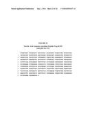 COMPOSITIONS FOR INCREASING POLYPEPTIDE STABILITY AND ACTIVITY, AND     RELATED METHODS diagram and image