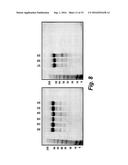 THERAPEUTIC NUCLEASE-ALBUMIN FUSIONS AND METHODS diagram and image