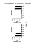 THERAPEUTIC NUCLEASE-ALBUMIN FUSIONS AND METHODS diagram and image