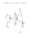 Compositions And Methods Of Nucleic Acid-Targeting Nucleic Acids diagram and image