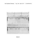 Compositions And Methods Of Nucleic Acid-Targeting Nucleic Acids diagram and image