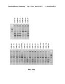Compositions And Methods Of Nucleic Acid-Targeting Nucleic Acids diagram and image