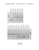 Compositions And Methods Of Nucleic Acid-Targeting Nucleic Acids diagram and image