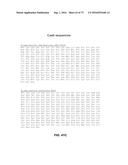 Compositions And Methods Of Nucleic Acid-Targeting Nucleic Acids diagram and image