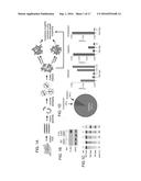 FUNCTIONAL GENOMICS USING CRISPR-CAS SYSTEMS, COMPOSITIONS, METHODS,     SCREENS AND APPLICATIONS THEREOF diagram and image