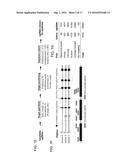 FUNCTIONAL GENOMICS USING CRISPR-CAS SYSTEMS, COMPOSITIONS, METHODS,     SCREENS AND APPLICATIONS THEREOF diagram and image