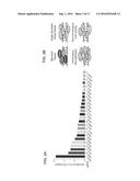 FUNCTIONAL GENOMICS USING CRISPR-CAS SYSTEMS, COMPOSITIONS, METHODS,     SCREENS AND APPLICATIONS THEREOF diagram and image