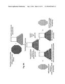 CELLS EXPRESSING APOLIPOPROTEIN E AND USES THEREOF diagram and image