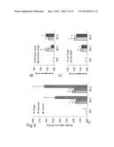 TRANSGENIC TREES HAVING REDUCED XYLAN CONTENT diagram and image