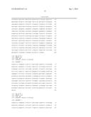 TRANSGENIC TREES HAVING REDUCED XYLAN CONTENT diagram and image