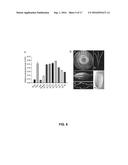 BG1 COMPOSITIONS AND METHODS TO INCREASE AGRONOMIC PERFORMANCE OF PLANTS diagram and image
