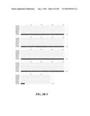 ICE RECRYSTALLISATION INHIBITION PROTEIN OR ANTIFREEZE PROTEINS FROM     DESCHAMPSIA, AND FESTUCA SPECIES OF GRASS diagram and image