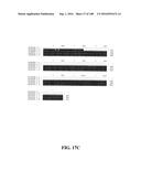 ICE RECRYSTALLISATION INHIBITION PROTEIN OR ANTIFREEZE PROTEINS FROM     DESCHAMPSIA, AND FESTUCA SPECIES OF GRASS diagram and image