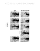 HERBICIDE-TOLERANT PLANTS diagram and image