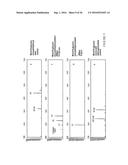 MANNOSIDASES CAPABLE OF UNCAPPING MANNOSE-1-PHOSPHO-6-MANNOSE LINKAGES AND     DEMANNOSYLATING PHOSPHORYLATED N-GLYCANS AND METHODS OF FACILITATING     MAMMALIAN CELLULAR UPTAKE OF GLYCOPROTEINS diagram and image