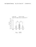 USE OF LET-7G TO DOWN REGULATE NS5B GENE, CORE PROTEIN AND VIRAL LOAD OF     HEPATITIS C VIRUS diagram and image