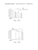 USE OF LET-7G TO DOWN REGULATE NS5B GENE, CORE PROTEIN AND VIRAL LOAD OF     HEPATITIS C VIRUS diagram and image
