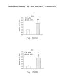 USE OF LET-7G TO DOWN REGULATE NS5B GENE, CORE PROTEIN AND VIRAL LOAD OF     HEPATITIS C VIRUS diagram and image