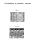 PROCESS FOR PRODUCING CARBON NANOTUBES AND METHOD FOR FORMING WIRING diagram and image