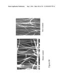 FABRICATION AND APPLICATION OF NANOFIBER RIBBONS AND SHEETS AND TWISTED     AND NON-TWISTED NANOFIBER YARNS diagram and image