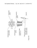 FABRICATION AND APPLICATION OF NANOFIBER RIBBONS AND SHEETS AND TWISTED     AND NON-TWISTED NANOFIBER YARNS diagram and image