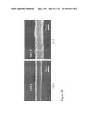 FABRICATION AND APPLICATION OF NANOFIBER RIBBONS AND SHEETS AND TWISTED     AND NON-TWISTED NANOFIBER YARNS diagram and image