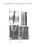 FABRICATION AND APPLICATION OF NANOFIBER RIBBONS AND SHEETS AND TWISTED     AND NON-TWISTED NANOFIBER YARNS diagram and image