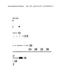 COMPOSITIONS, METHODS AND SYSTEMS FOR EXTERNAL AND INTERNAL ENVIRONMENTAL     SENSING diagram and image